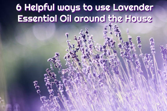 6 Helpful Ways to Use Lavender Essential Oil Around the House