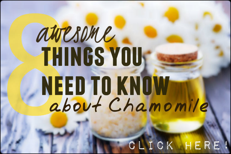 8 Awesome things you Need to Know about Chamomile