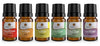 Organic Essential Oil 6 Pack Set