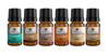 Spice Essential Oil Gift Set (6 Pack)